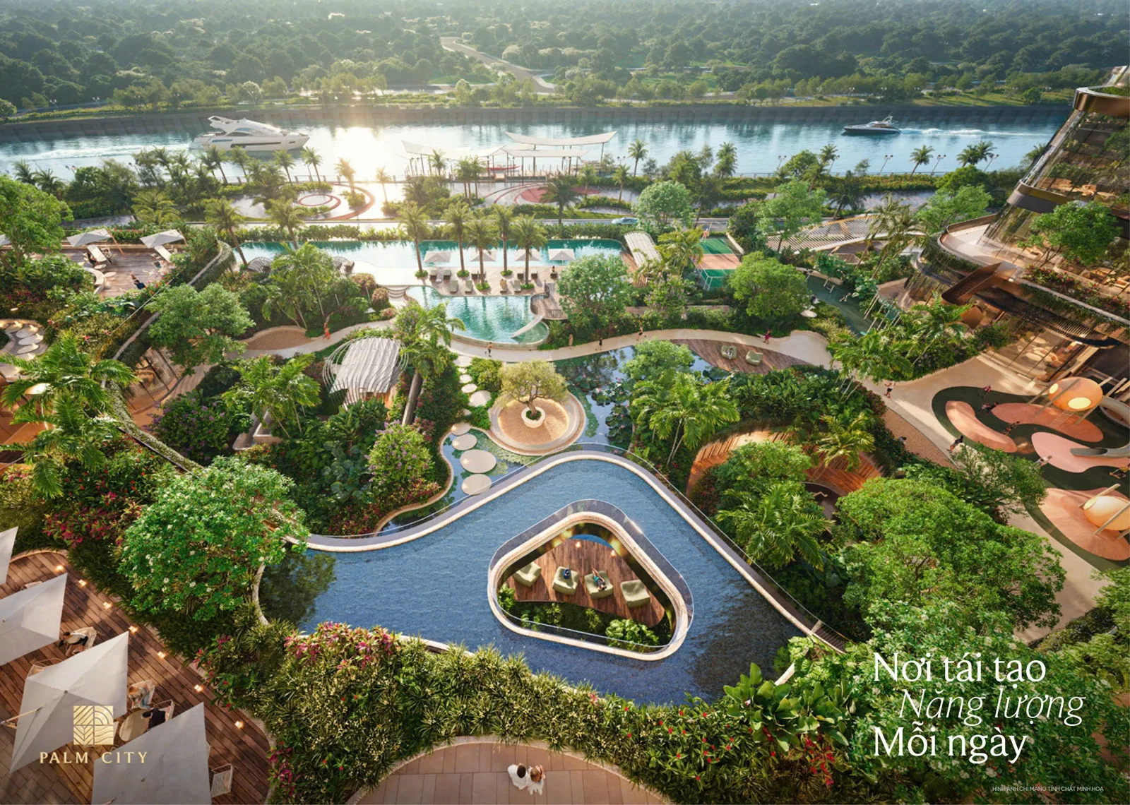 Phối cảnh hồ bơi, sân vườn và mặt nước ven sông Palm River